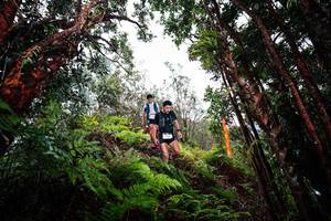 BIB: 
                            <button type="button" onclick="openModal(26201837)" class="btn btn-primary btn-sm float-right btn-popup" data-toggle="modal" data-target=".modal-high-quality">
                        <i class="fas fa-shopping-cart"></i> Add to Cart
                    </button>
                                            <button type="button" onclick="isThisMe(26201837, true)" class="btn btn-success btn-sm float-right btn-popup btn-isme hidden" data-toggle="tooltip" data-placement="bottom" title="นี่คือรูปของคุณใช่ไหม คลิกที่นี่เพื่อเอาเข้าอัลบั้ม">
                        <i class="fas fa-plus"></i> Add to album
                    </button>
                    <button type="button" onclick="isThisMe(26201837, false)" class="btn btn-warning btn-sm float-right btn-popup btn-isnotme hidden">
                        <i class="fas fa-ban"></i> Remove from album
                    </button>